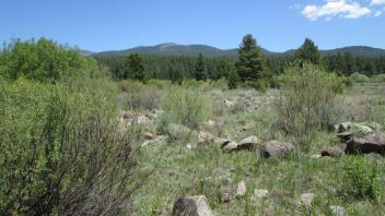 End of middle transect, looking east