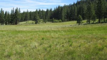 End of middle transect, looking north
