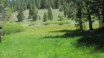 End of middle transect, looking northeast