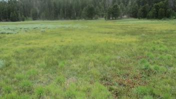 End of middle transect, looking northeast