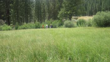 End of middle transect, looking south