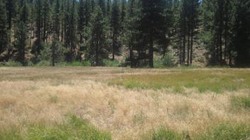 End of middle transect, looking south