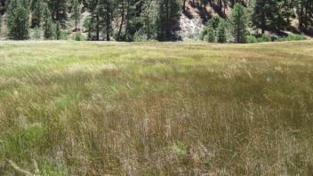 End of middle transect, looking south