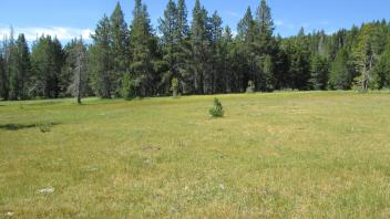 End of middle transect, looking south
