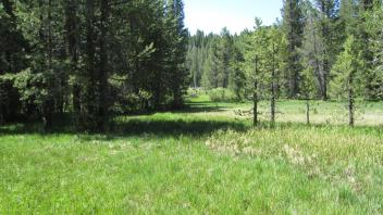 End of middle transect, looking south