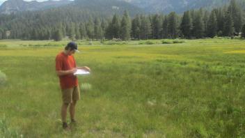 End of middle transect, looking southwest