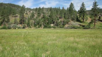 End of middle transect, looking west