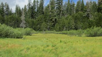 End of middle transect, looking west