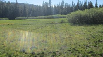 End of middle transect, looking west