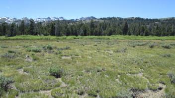 End of middle transect, looking west