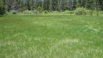 End of middle transect, looking west