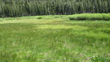 End of middle transect, looking east