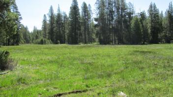 End of second upper transect, looking south