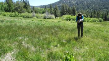 End of upper transect looking east