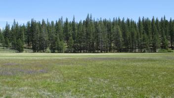 End of upper transect looking east