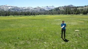 End of upper transect looking west