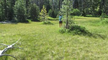 End of upper transect, looking east