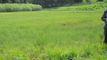 End of upper transect, looking east