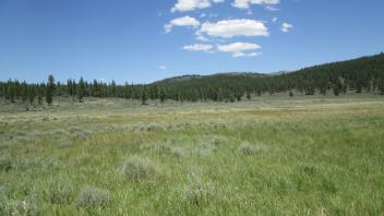 End of upper transect, looking east