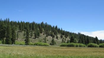 End of upper transect, looking east