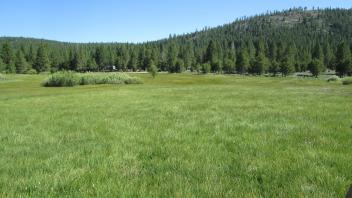 End of upper transect, looking north