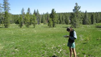 End of upper transect, looking north