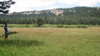 End of upper transect, looking northwest