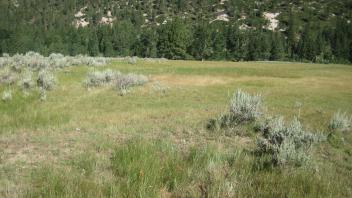 End of upper transect, looking northwest