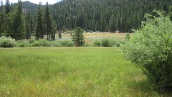 End of upper transect, looking south