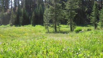 End of upper transect, looking southeast