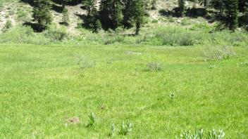 End of upper transect, looking southeast