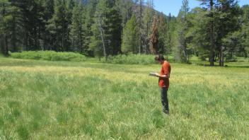 End of upper transect, looking southwest