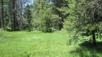 End of upper transect, looking west