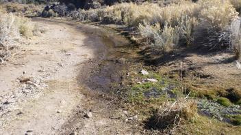 Flow entering road