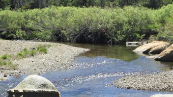 Gravel bars with bank instability between middle and lower transects