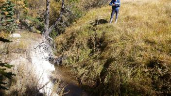 Gullied channel at northern end