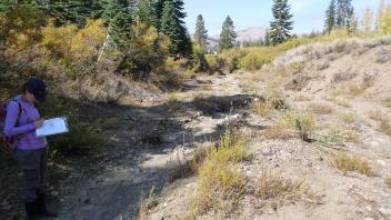 Gullied channel below road (6ft deep)