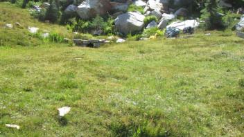 Gully Below Culvert