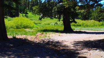 Gully at road and into meadow