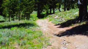 Gully at road