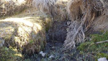 Headcut from sub-surface flow downstream of road