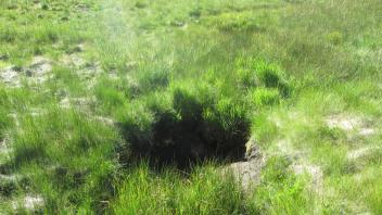 Headcut, side channel, upper meadow, 1.5 feet, unstable