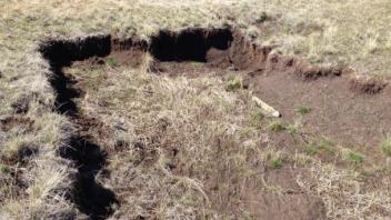 Headcut. 1.5 ft deep and 12 ft wide