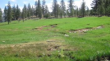 Headcuts in irrigated ditch