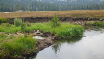 High bank near confluence