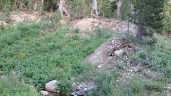 Hillside Erosion