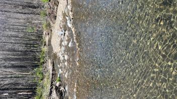 Shingle Mill