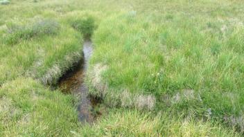 Channel at upper transect, from left bank to right bank
