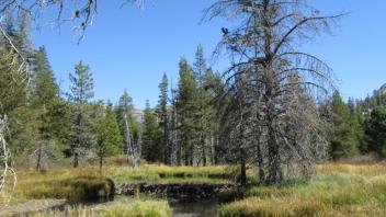 Transect 1, crossing