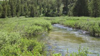Lower Transect Channel (upstream)